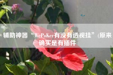 辅助神器“WePoKer有没有透视挂”(原来确实是有插件