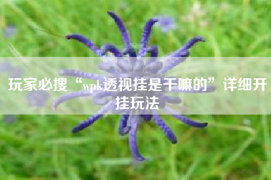 玩家必搜“wpk透视挂是干嘛的”详细开挂玩法