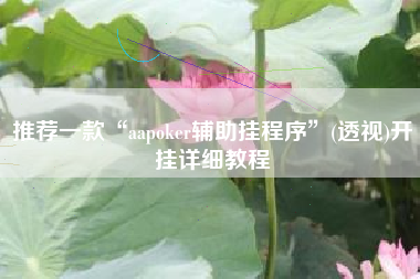 推荐一款“aapoker辅助挂程序”(透视)开挂详细教程