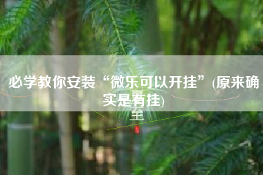 必学教你安装“微乐可以开挂	”(原来确实是有挂)