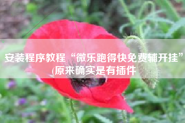 安装程序教程“微乐跑得快免费辅开挂	”(原来确实是有插件