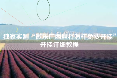 独家实测“微乐广西麻将怎样免费开挂	”开挂详细教程