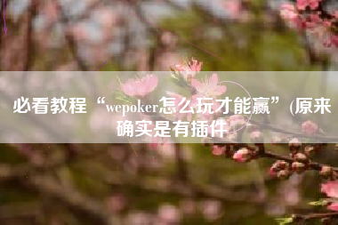 必看教程“wepoker怎么玩才能赢	”(原来确实是有插件