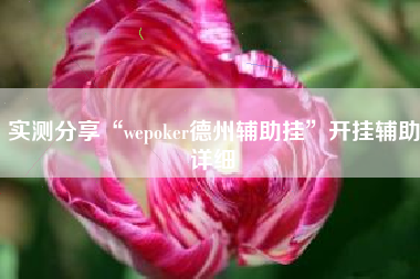 实测分享“wepoker德州辅助挂”开挂辅助详细