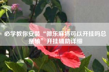 必学教你安装“微乐麻将可以开挂吗总是输”开挂辅助详细