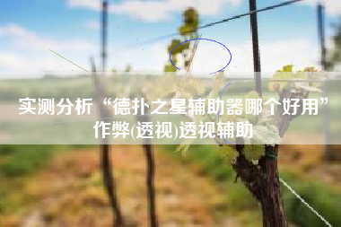 实测分析“德扑之星辅助器哪个好用”作弊(透视)透视辅助 实测分析“德扑之星辅助器哪个好用”作弊(透视)透视辅助