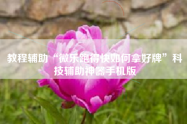 教程辅助“微乐跑得快如何拿好牌	”科技辅助神器手机版