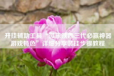 开挂辅助工具“微乐陕西三代必赢神器游戏特色”详细分享装挂步骤教程