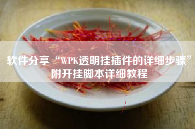软件分享“WPK透明挂插件的详细步骤”附开挂脚本详细教程