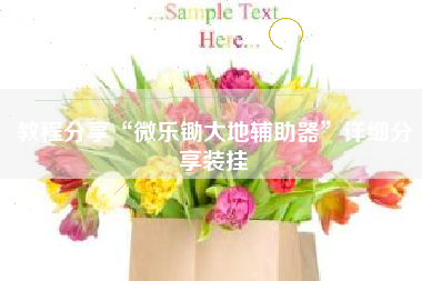 教程分享“微乐锄大地辅助器”详细分享装挂