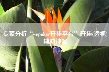 专家分析“wepoker开挂平台	”开挂(透视)辅助神器
