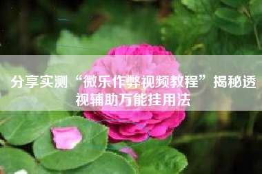 分享实测“微乐作弊视频教程	”揭秘透视辅助万能挂用法