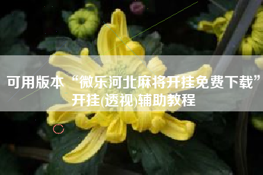 可用版本“微乐河北麻将开挂免费下载	”开挂(透视)辅助教程