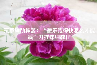 玩家辅助神器：“微乐跑得快怎么才能赢”开挂详细教程