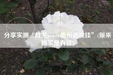 分享实测“红龙poker德州透视挂	”(原来确实是有挂)