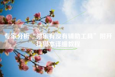 专家分析“微乐有没有辅助工具	”附开挂脚本详细教程