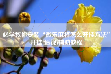 必学教你安装“微乐麻将怎么开挂方法	”开挂(透视)辅助教程