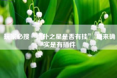 玩家必搜“德扑之星是否有挂”(原来确实是有插件