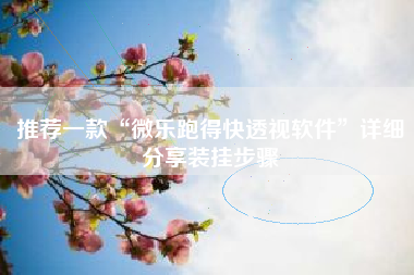 推荐一款“微乐跑得快透视软件”详细分享装挂步骤