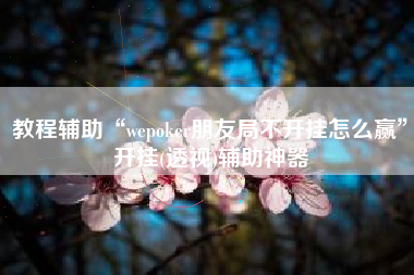 教程辅助“wepoker朋友局不开挂怎么赢	”开挂(透视)辅助神器