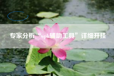 专家分析“wpk辅助工具	”详细开挂