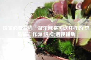 玩家必看教程“微乐麻将可以开挂吗 总是输”作弊(透视)透视辅助