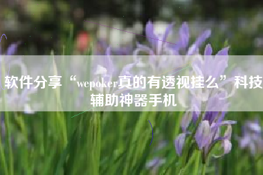 软件分享“wepoker真的有透视挂么”科技辅助神器手机