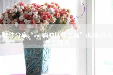 软件分享“wpk辅助插件工具”(原来确实是有插件