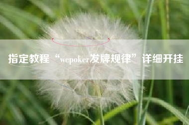 指定教程“wepoker发牌规律	”详细开挂