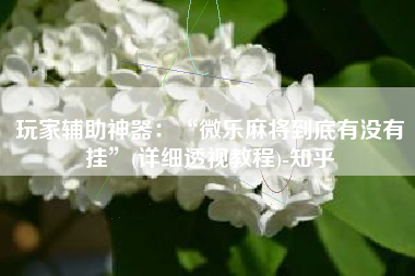 玩家辅助神器：“微乐麻将到底有没有挂	”(详细透视教程)-知乎