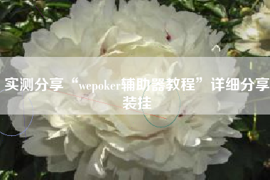 实测分享“wepoker辅助器教程”详细分享装挂