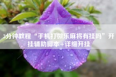 3分钟教程“手机打微乐麻将有挂吗”开挂辅助脚本+详细开挂