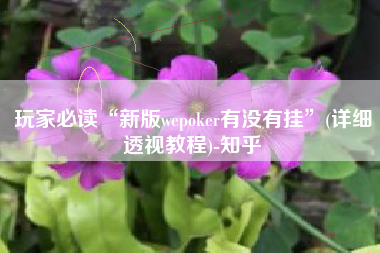 玩家必读“新版wepoker有没有挂	”(详细透视教程)-知乎