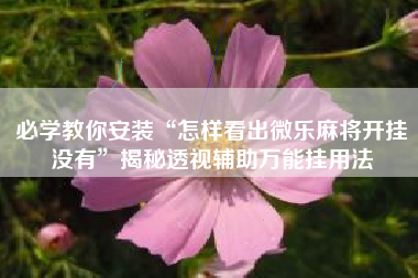 必学教你安装“怎样看出微乐麻将开挂没有”揭秘透视辅助万能挂用法