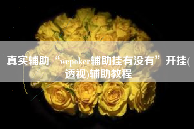 真实辅助“wepoker辅助挂有没有	”开挂(透视)辅助教程
