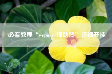 必看教程“wepoker辅助器”详细开挂