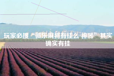 玩家必搜“微乐麻将有挂么 神器”其实确实有挂