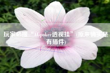 玩家必搜“AGpoker透视挂	”(原来确实是有插件)