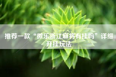 推荐一款“微乐浙江麻将有挂吗”详细开挂玩法